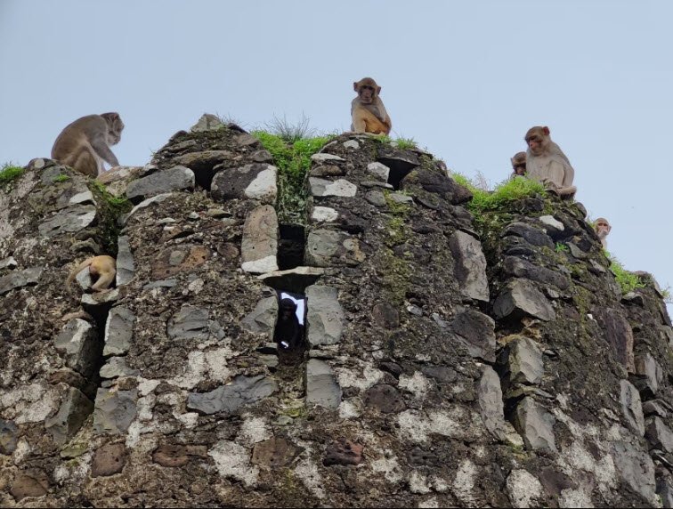 Kajligarh Fort, Madhya Pradesh, India